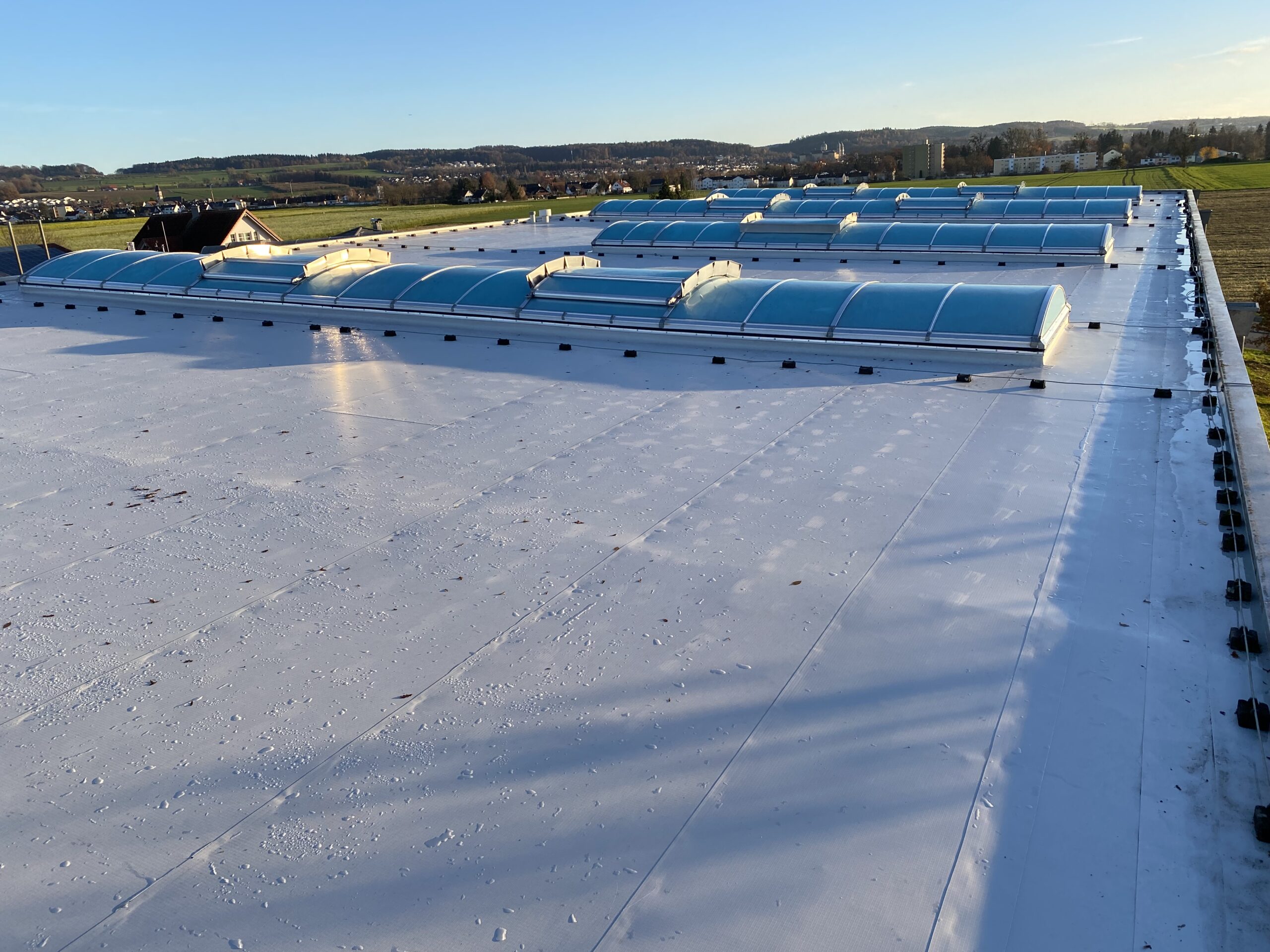 13DD8A1C A13E 4E35 9CEE 4D17868F26B7 scaled